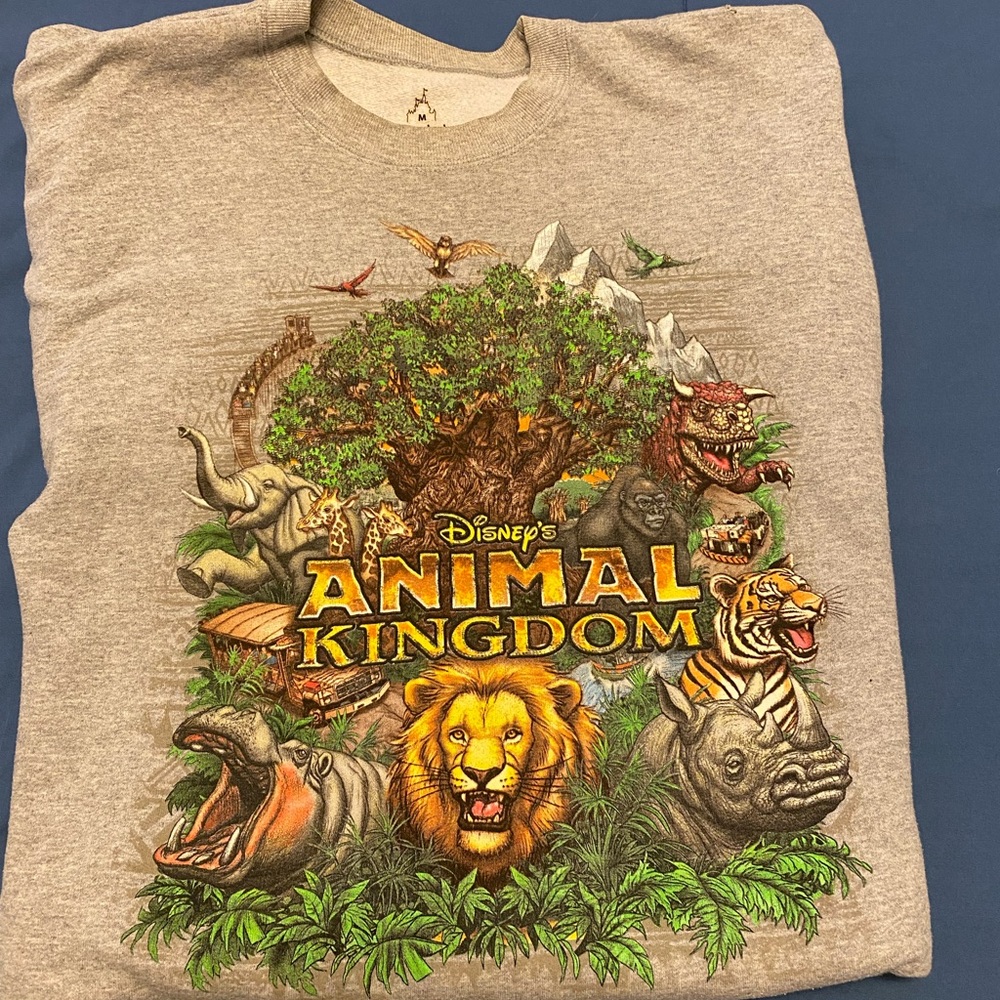 Disney World Animal Kingdom Sweatshirt